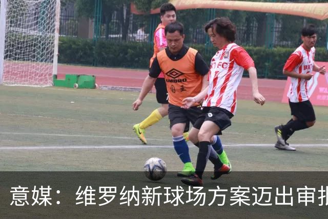 意媒：维罗纳新球场方案迈出审批第一步