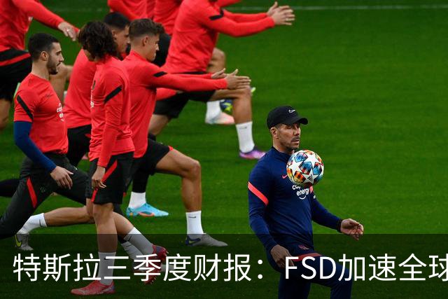 特斯拉三季度财报：FSD加速全球落地，中国市场仍待突破