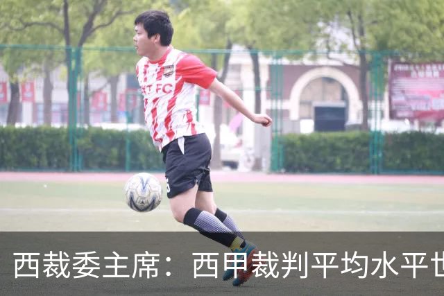 西裁委主席：西甲裁判平均水平世界最佳，误判过去现在未来都会有